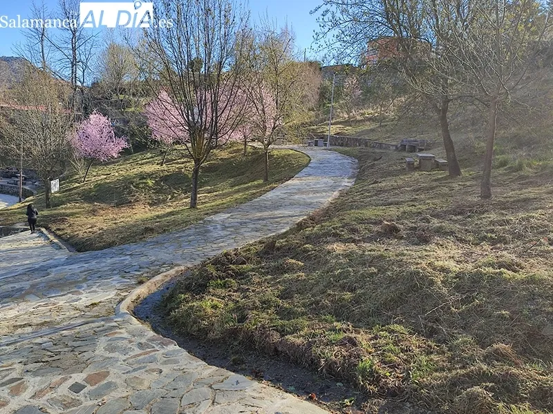Foto 2 - El paraje de El regajo vuelve a estar disponible para el disfrute de los bejaranos
