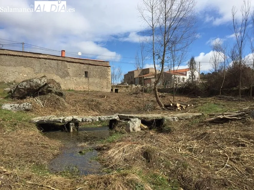Limpieza arbustiva del regato de Gema