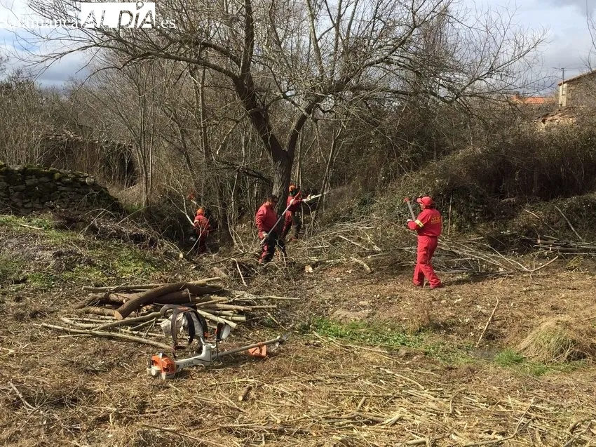 Limpieza arbustiva del regato de Gema