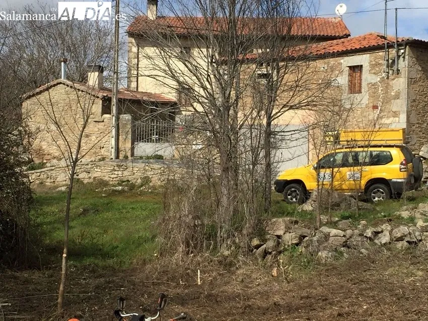 Limpieza arbustiva del regato de Gema