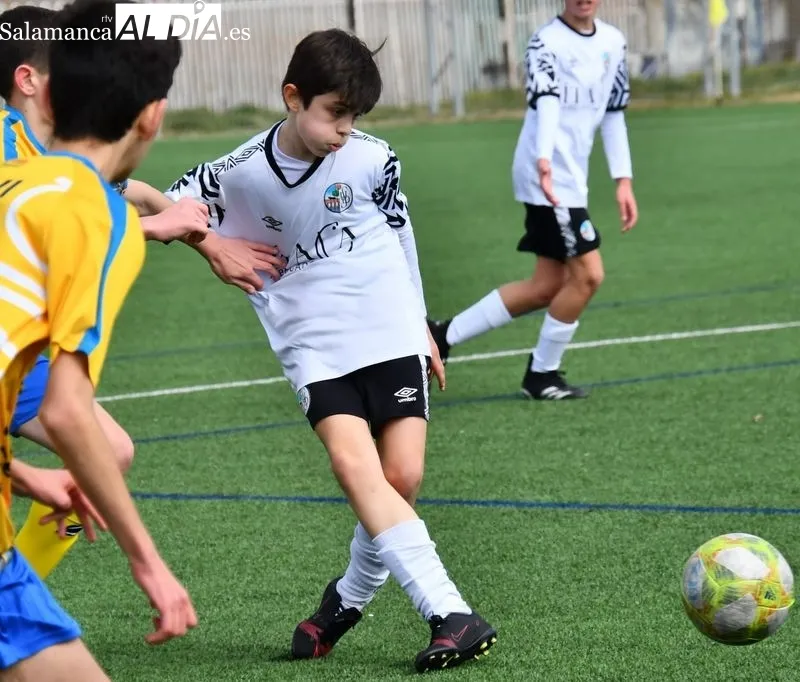 Galerías de imágenes de los partidos del Salamanca UDS en las categorías de Juvenil e Infantil Regional / Fotos: Salamanca UDS
