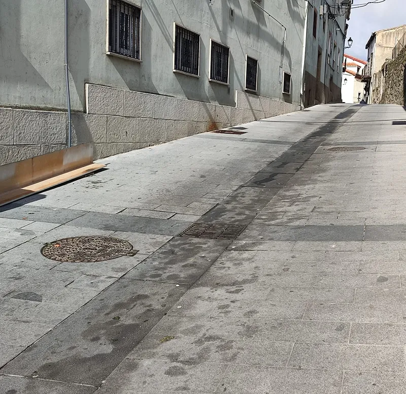 Estado de una de las calles del centro urbano y de los contenedores de Béjar | Foto: David Sánchez