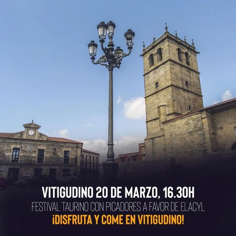 Establecimientos adheridos a la campaña 'Disfruta y come en Vitigudino'