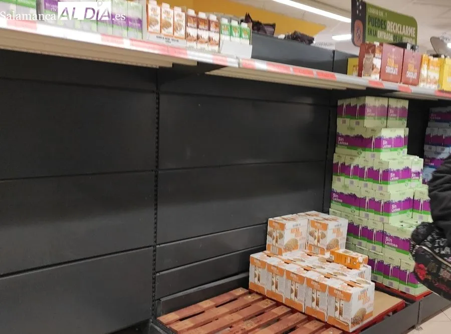 Foto 5 - Estanter&iacute;as vac&iacute;as en supermercados de Salamanca