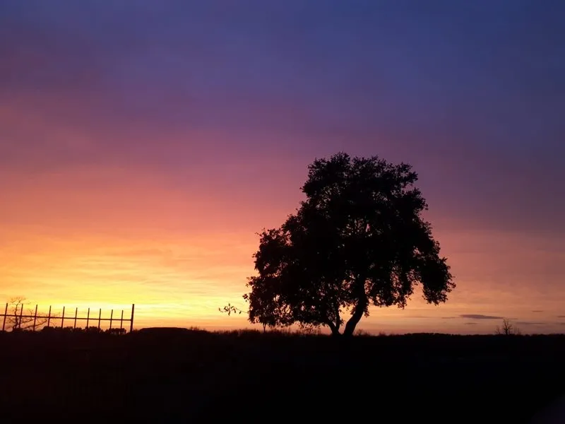 Atardecer en Lumbvrales tras la calima / FOTOS: MARÍA ÁNGELES PÉREZ