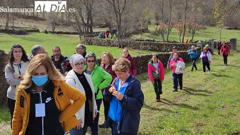 Foto 4 - Cerca de un centenar de participantes han disfrutado de la Marcha Pro-Semana Santa