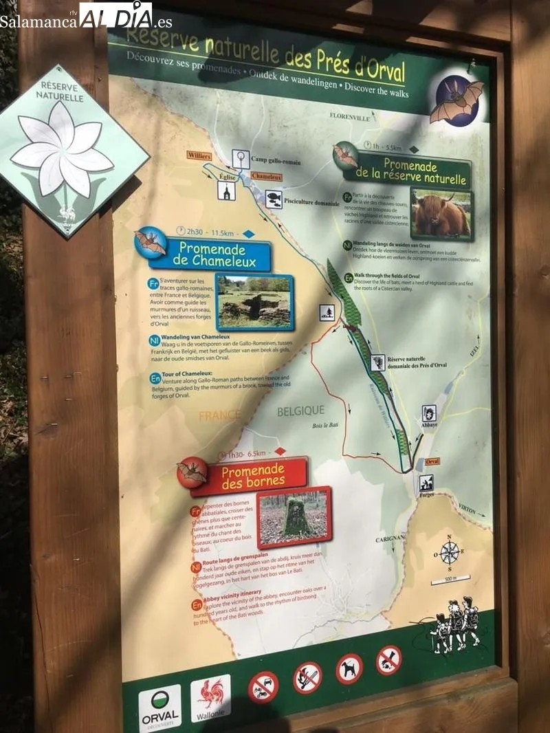 Un grupo de 11 alumnos del IES Campo Charro viajaba esta semana pasada a Bérlgica con el programa Erasmus+
