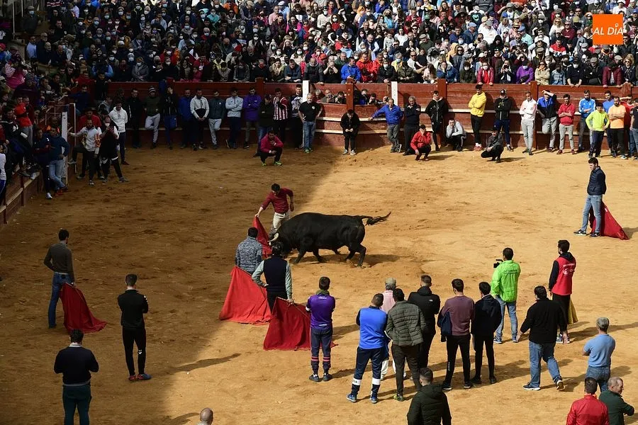 La capea del martes en la mañana estuvo entretenida|Fotos: Adrián M. Pastor