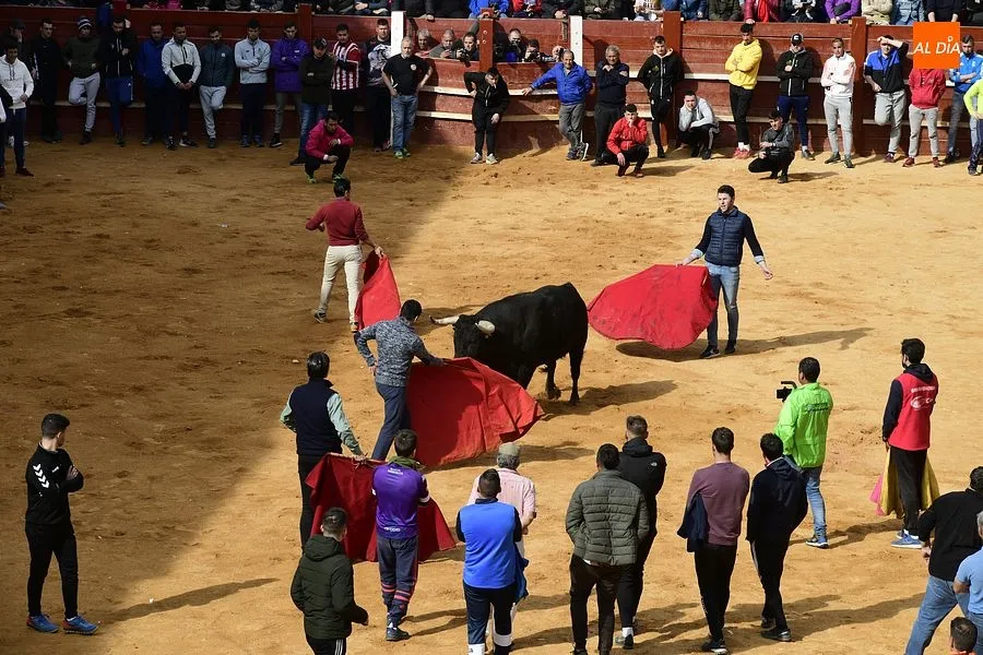La capea del martes en la mañana estuvo entretenida|Fotos: Adrián M. Pastor