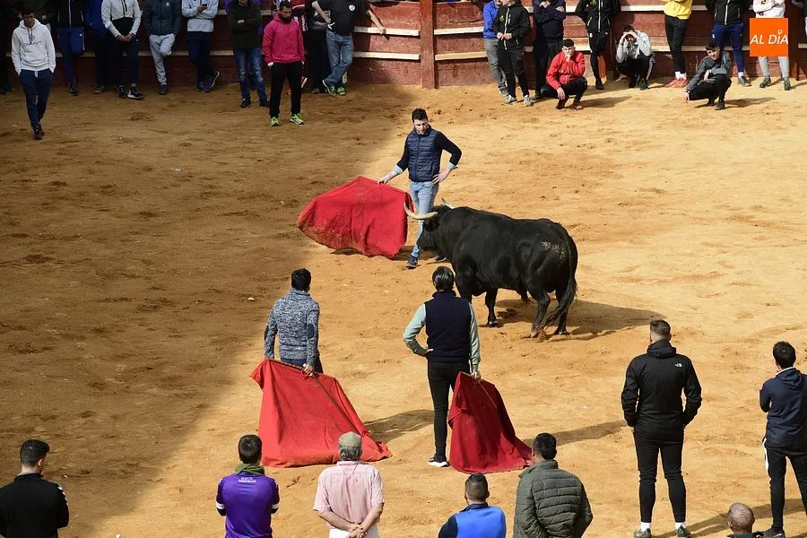 La capea del martes en la mañana estuvo entretenida|Fotos: Adrián M. Pastor