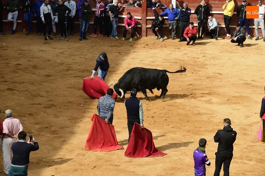 La capea del martes en la mañana estuvo entretenida|Fotos: Adrián M. Pastor