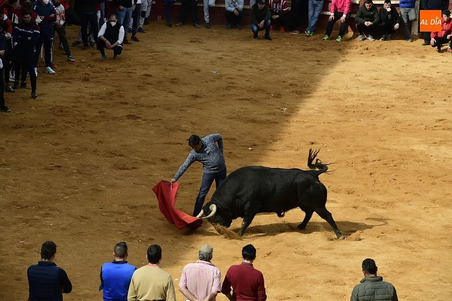 La capea del martes en la mañana estuvo entretenida|Fotos: Adrián M. Pastor