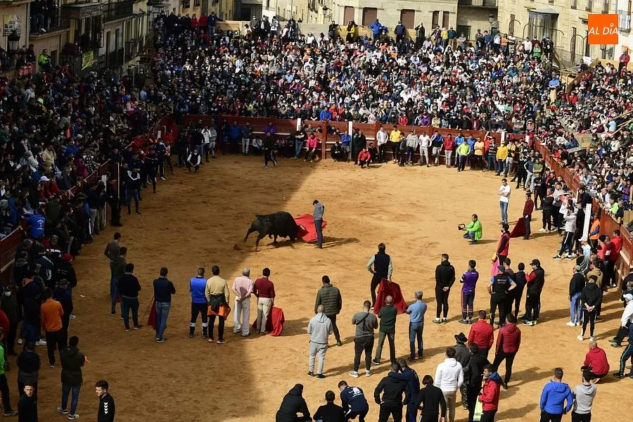 La capea del martes en la mañana estuvo entretenida|Fotos: Adrián M. Pastor