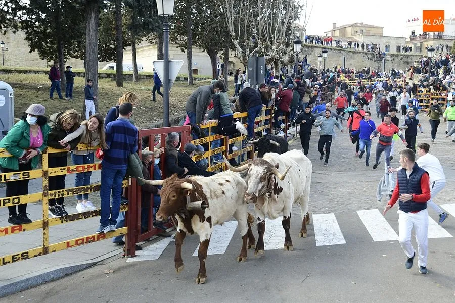 Desencierro martes mañana| Fotos: Adrián M. Pastor