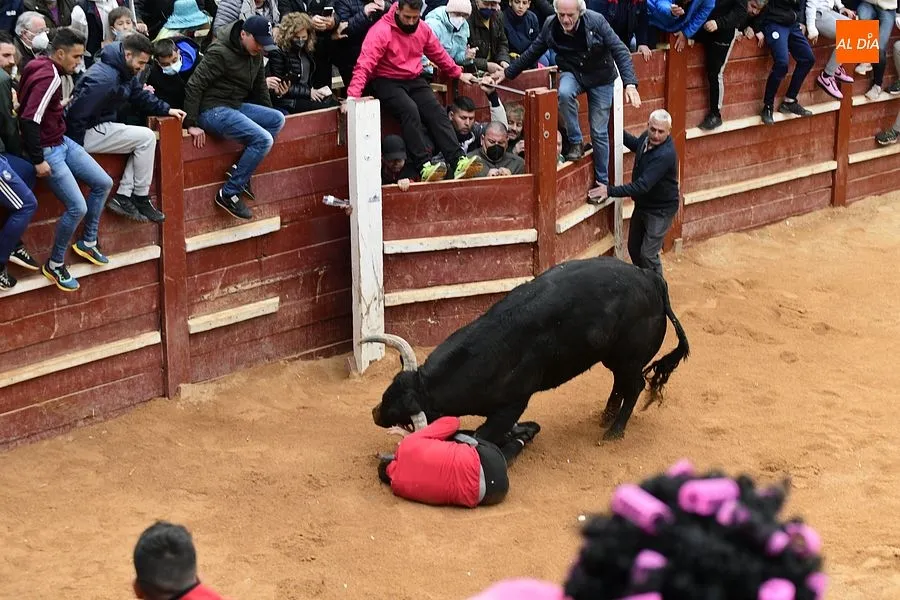 La capea de la tarde fue peligrosa y muy concurrida| Fotos: Adrián M.Pastor
