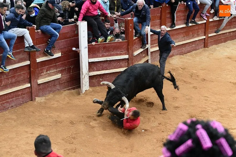 La capea de la tarde fue peligrosa y muy concurrida| Fotos: Adrián M.Pastor