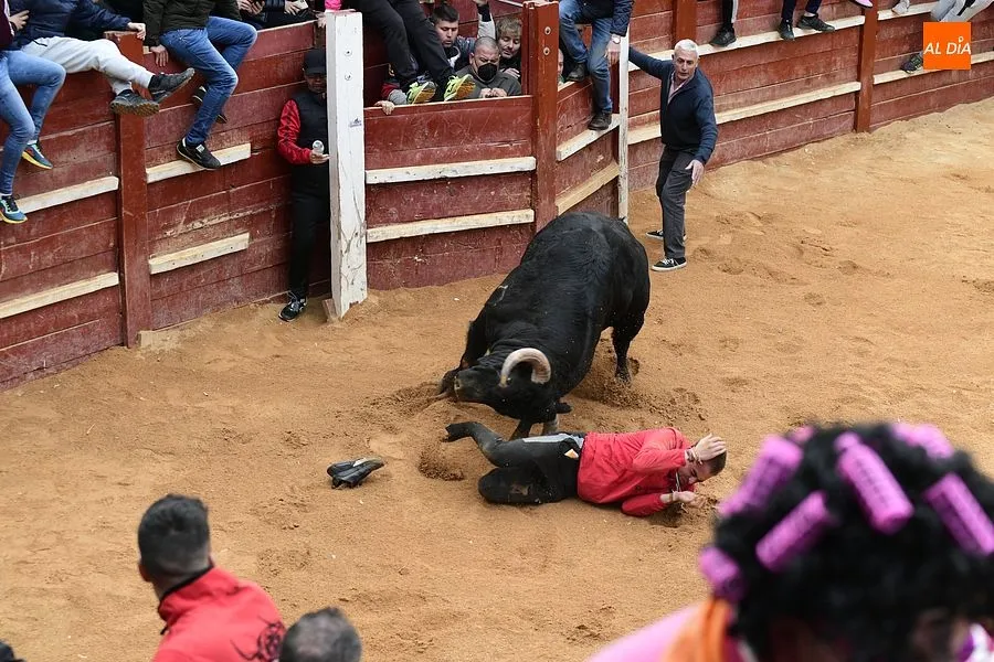 La capea de la tarde fue peligrosa y muy concurrida| Fotos: Adrián M.Pastor