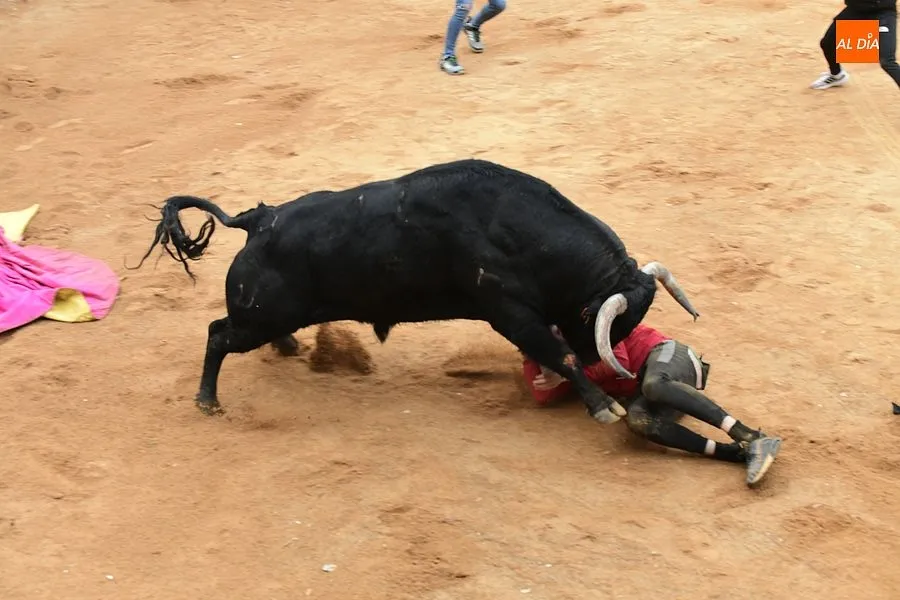 La capea de la tarde fue peligrosa y muy concurrida| Fotos: Adrián M.Pastor