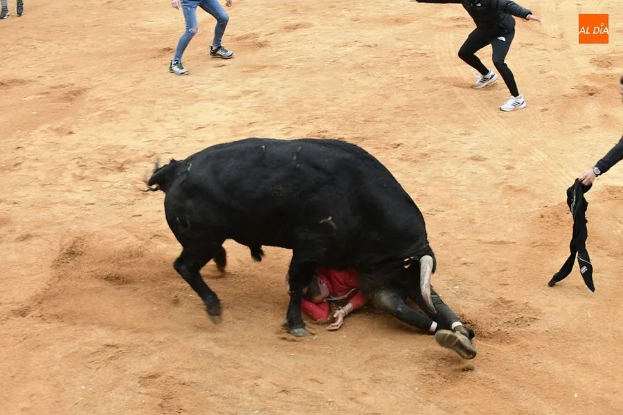 La capea de la tarde fue peligrosa y muy concurrida| Fotos: Adrián M.Pastor