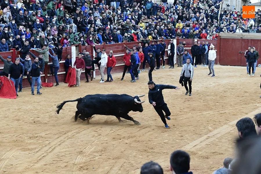 La capea de la tarde fue peligrosa y muy concurrida| Fotos: Adrián M.Pastor