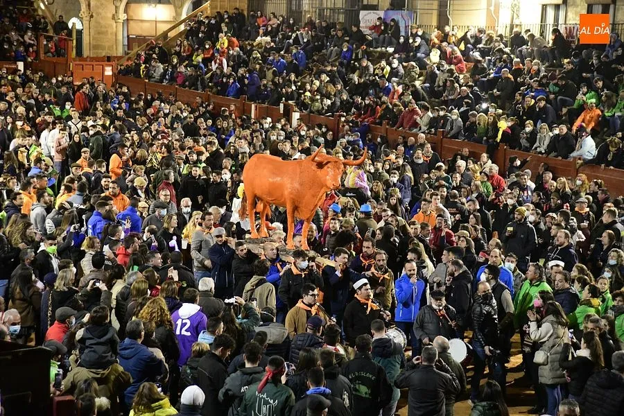Foto 10 - Indultado por primera vez el toro protagonista del Pasacalles de Cenizos