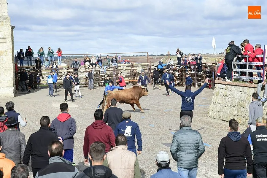 Foto 9 - El excepcional encierro con 7 toros para celebrar la hist&oacute;rica jornada acaba eterniz&aacute;ndose