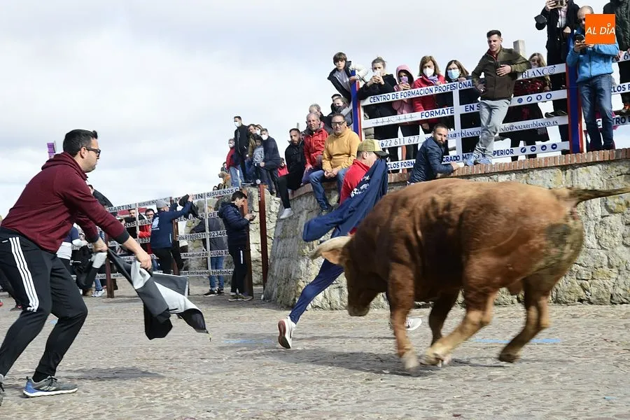 Foto 6 - El excepcional encierro con 7 toros para celebrar la hist&oacute;rica jornada acaba eterniz&aacute;ndose