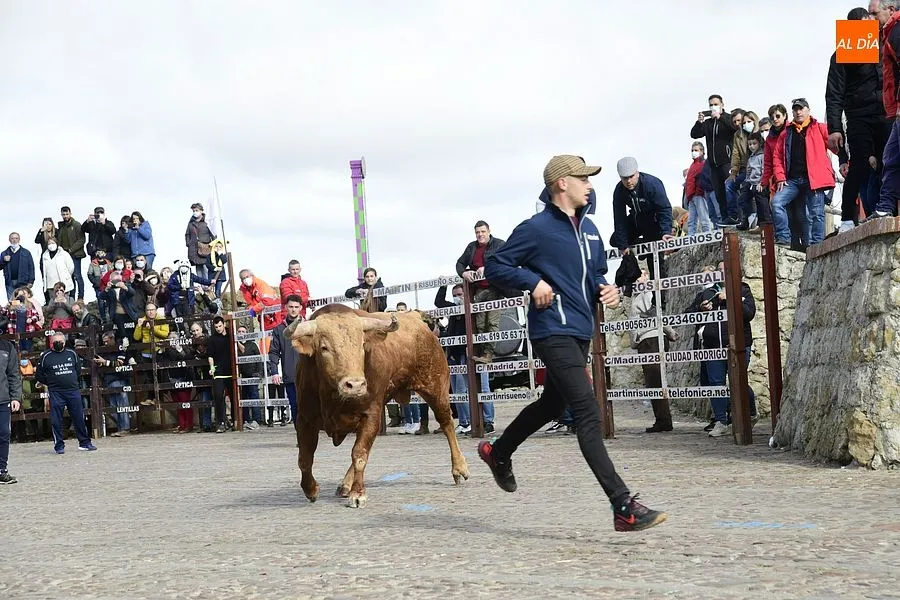 Foto 5 - El excepcional encierro con 7 toros para celebrar la hist&oacute;rica jornada acaba eterniz&aacute;ndose