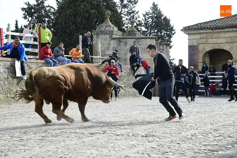 Foto 4 - El excepcional encierro con 7 toros para celebrar la hist&oacute;rica jornada acaba eterniz&aacute;ndose