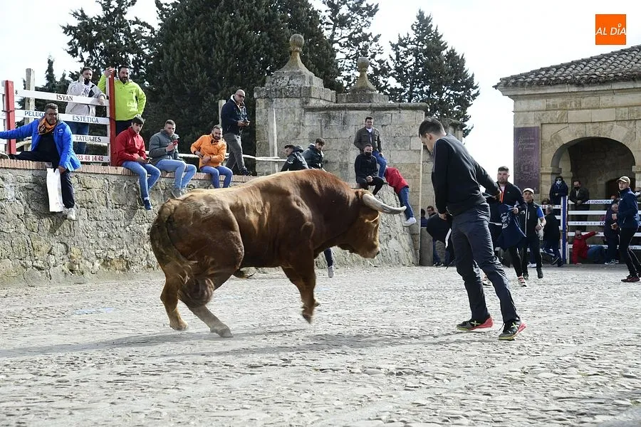 Foto 3 - El excepcional encierro con 7 toros para celebrar la hist&oacute;rica jornada acaba eterniz&aacute;ndose