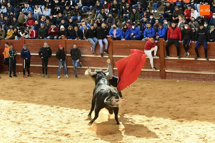 Foto 10 - Los recortadores les sacan algo de partido a los dos &uacute;nicos toros de la capea matinal