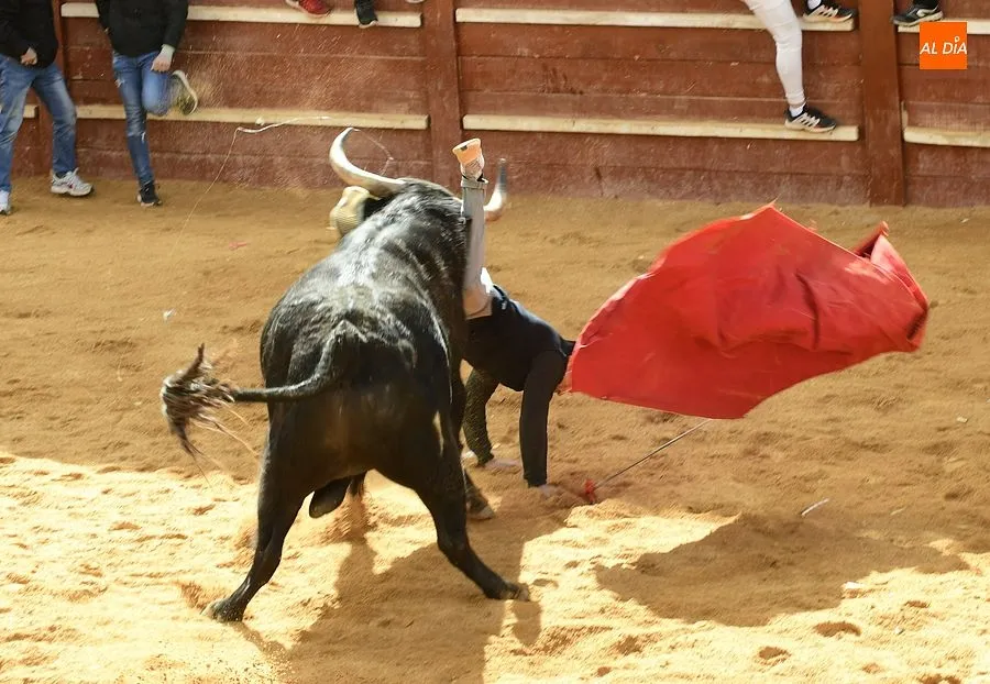 Foto 9 - Los recortadores les sacan algo de partido a los dos &uacute;nicos toros de la capea matinal
