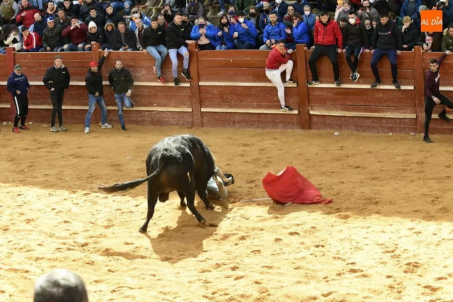 Foto 8 - Los recortadores les sacan algo de partido a los dos &uacute;nicos toros de la capea matinal