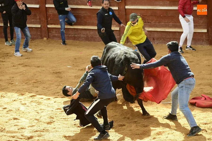 Foto 6 - Los recortadores les sacan algo de partido a los dos &uacute;nicos toros de la capea matinal