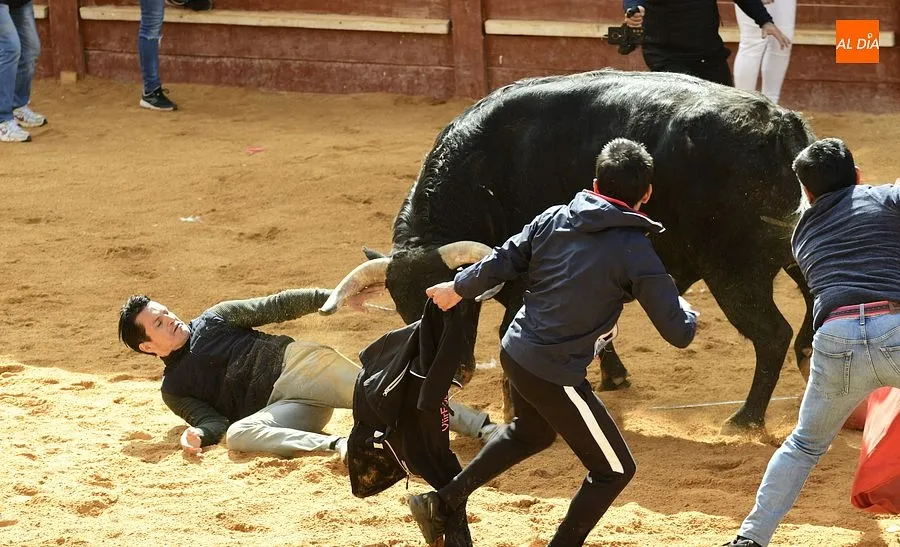Foto 5 - Los recortadores les sacan algo de partido a los dos &uacute;nicos toros de la capea matinal
