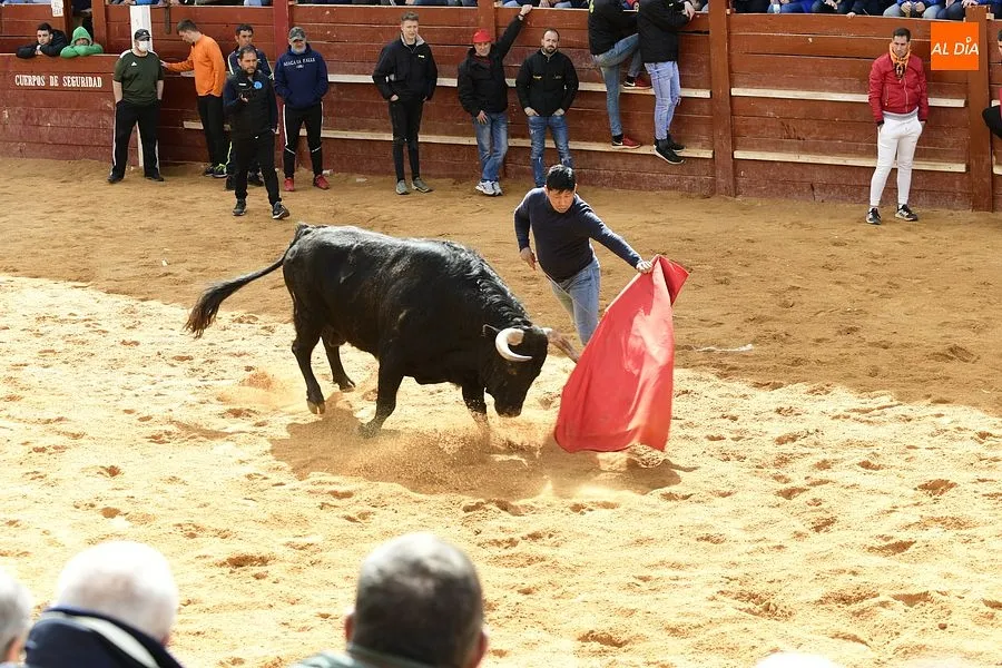 Foto 3 - Los recortadores les sacan algo de partido a los dos &uacute;nicos toros de la capea matinal