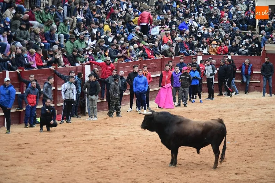 La capea del miércoles de ceniza tuvo un ambiente muy local | Fotos: Adrián M. Pastor