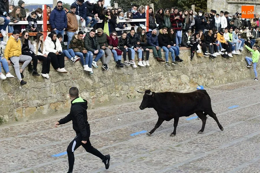 Foto 11 - Los mirobrigenses se despiden de los astados con una concurrida capea de vaquillas