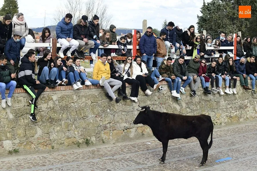 Foto 10 - Los mirobrigenses se despiden de los astados con una concurrida capea de vaquillas