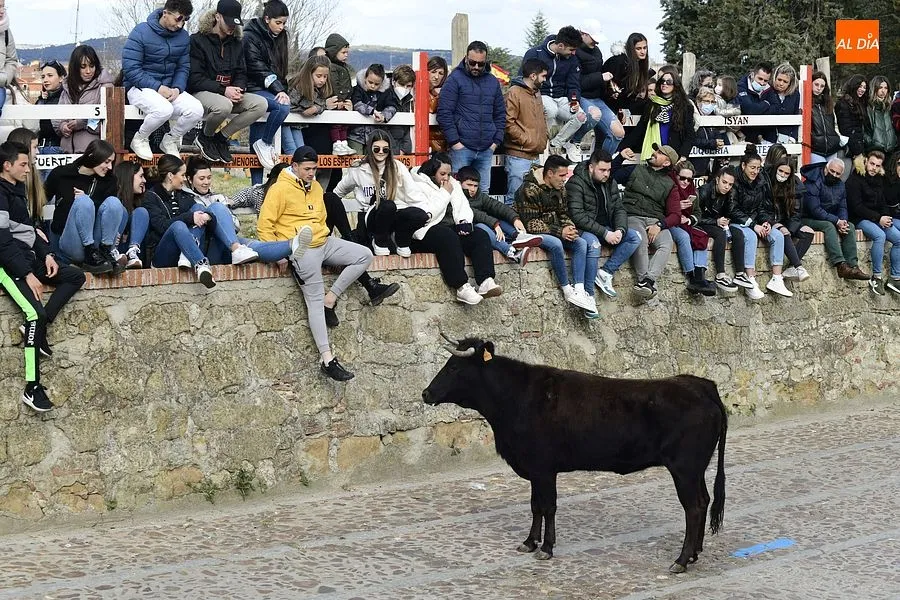 Foto 9 - Los mirobrigenses se despiden de los astados con una concurrida capea de vaquillas