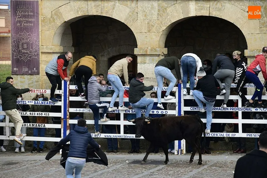 Foto 8 - Los mirobrigenses se despiden de los astados con una concurrida capea de vaquillas