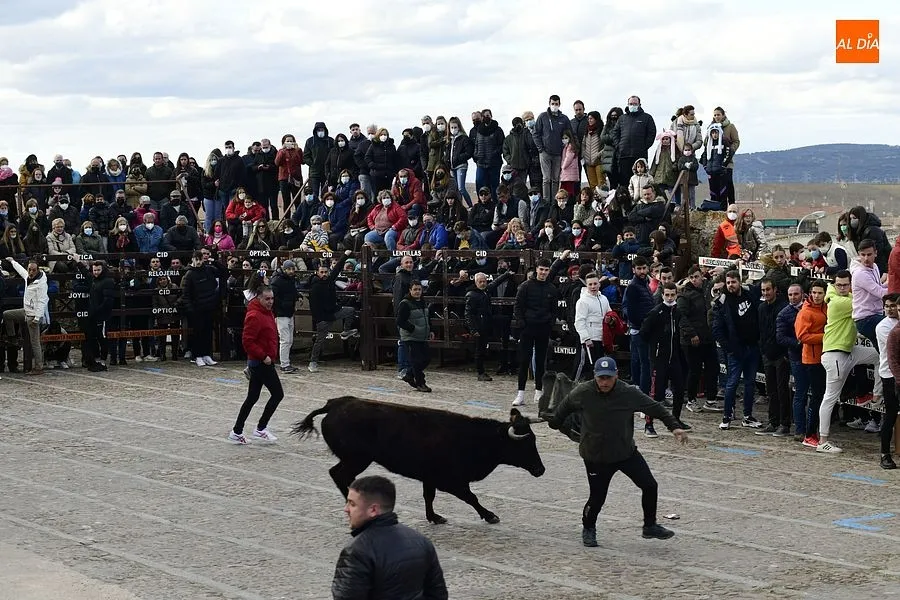 Foto 6 - Los mirobrigenses se despiden de los astados con una concurrida capea de vaquillas