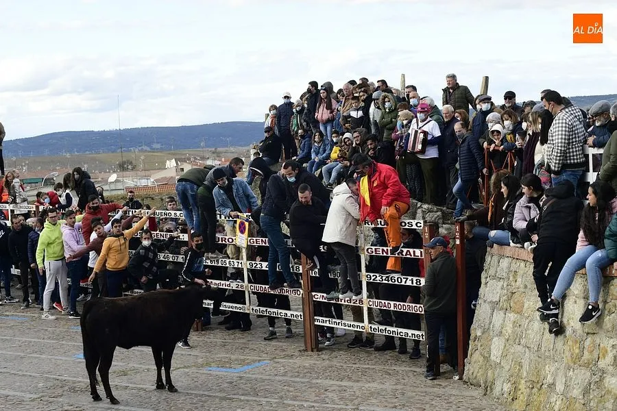 Foto 4 - Los mirobrigenses se despiden de los astados con una concurrida capea de vaquillas
