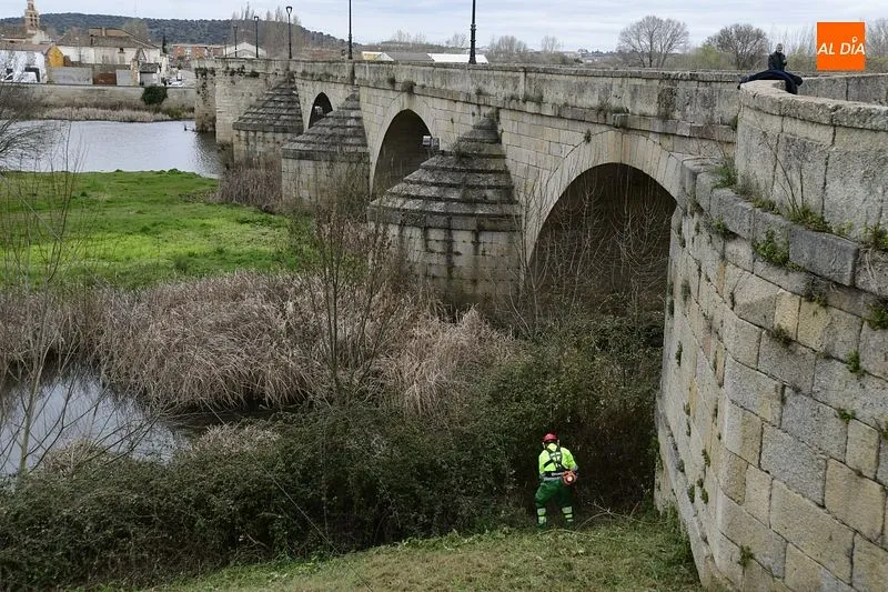 Foto 11 - La Alameda de la Moretona y la ribera entre el Puente Mayor y La Concha renuevan su imagen