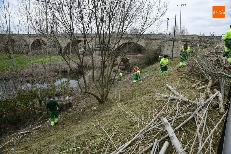 Foto 8 - La Alameda de la Moretona y la ribera entre el Puente Mayor y La Concha renuevan su imagen