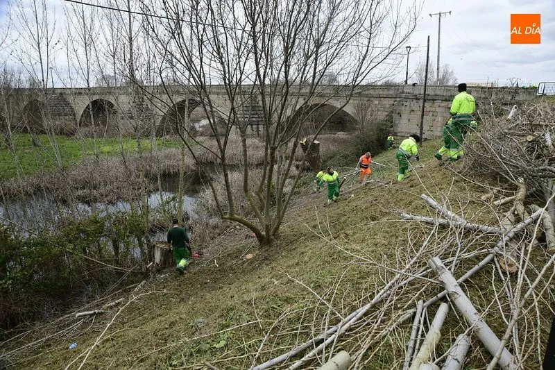 Foto 7 - La Alameda de la Moretona y la ribera entre el Puente Mayor y La Concha renuevan su imagen