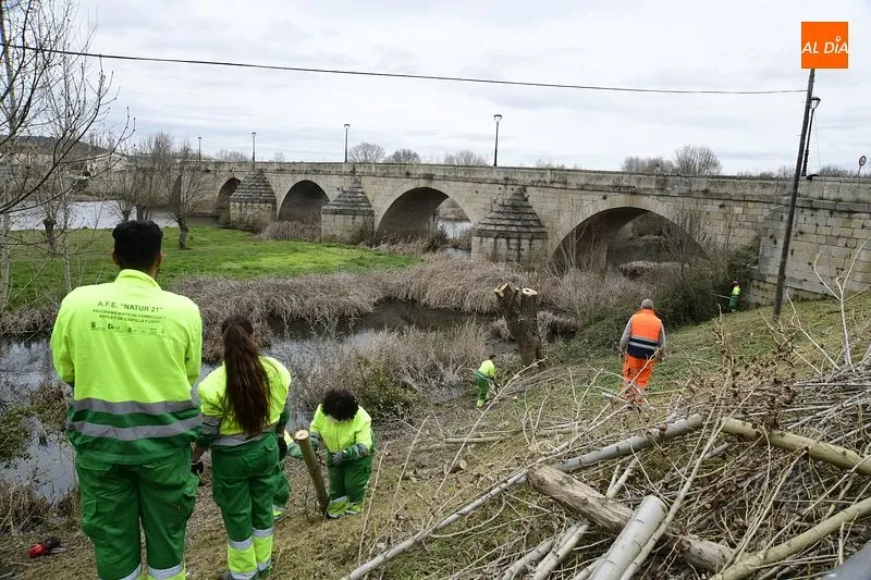 Foto 5 - La Alameda de la Moretona y la ribera entre el Puente Mayor y La Concha renuevan su imagen