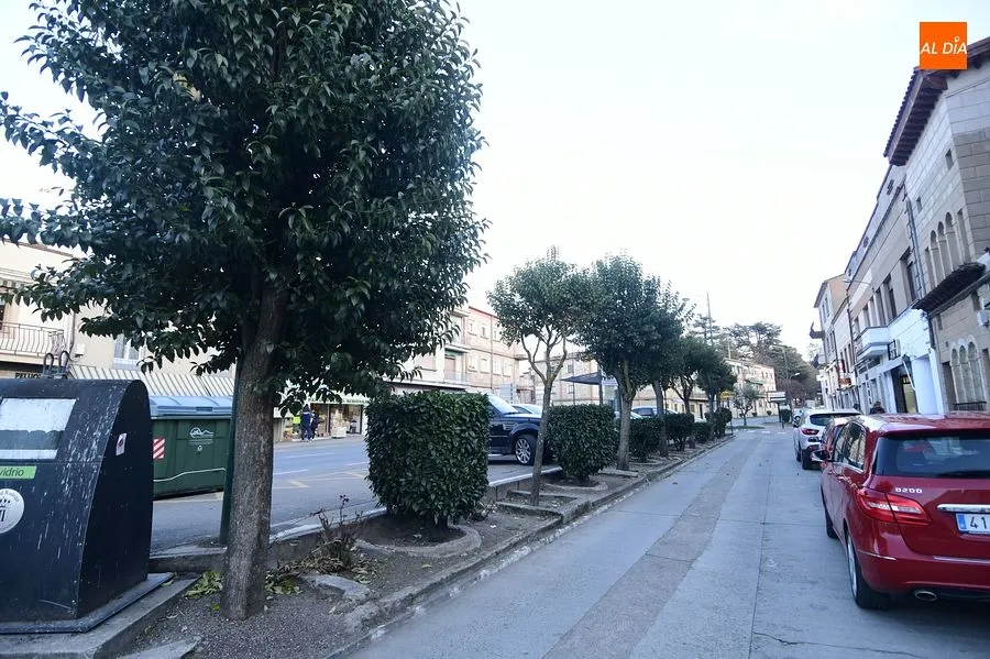 Foto 9 - Comerciantes de la Avda. Espa&ntilde;a preocupados por las obras que Junta y Ayuntamiento quieren llevar a cabo