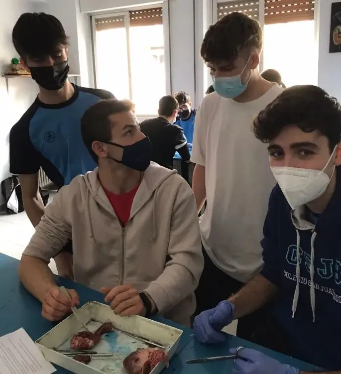 Clases de Anatomía en el colegio San Juan Bosco