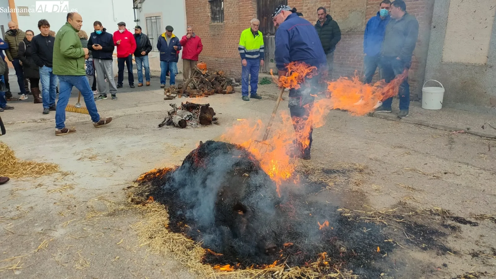 Mancera de Abajo ha celebrado su 4ª Matanza Tradicional